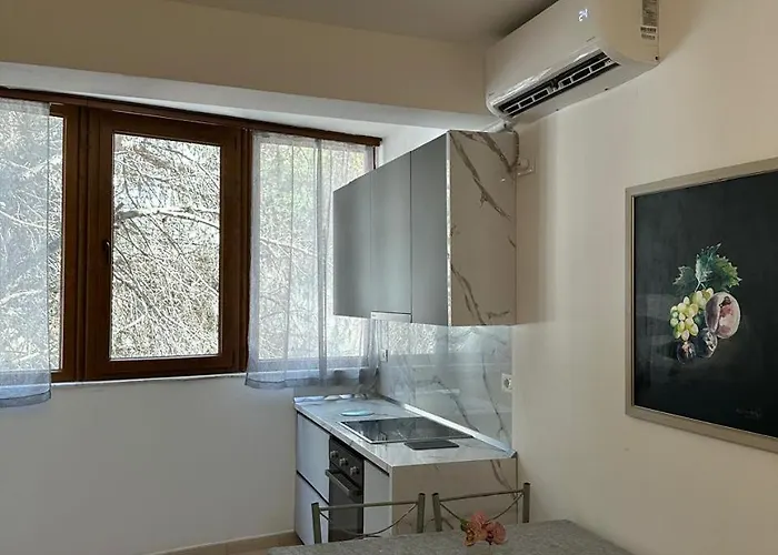 Apartment Under Pines - *